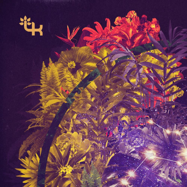 New Single from Toubab Krewe: "That Damn Squash"