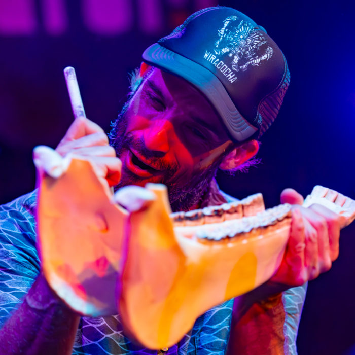 Donkey Jaw Percussion: Nothing like it!