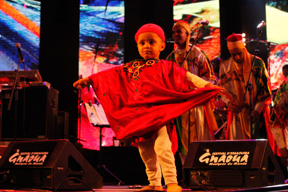 The youngest Gnawi around